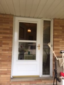 Storm Door and Side Lite