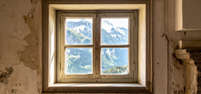 window companies near me