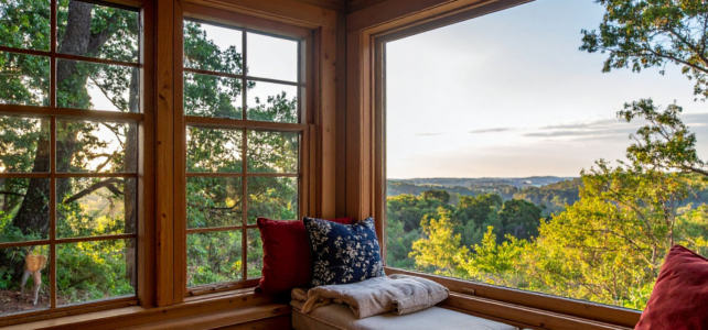 wood replacement windows